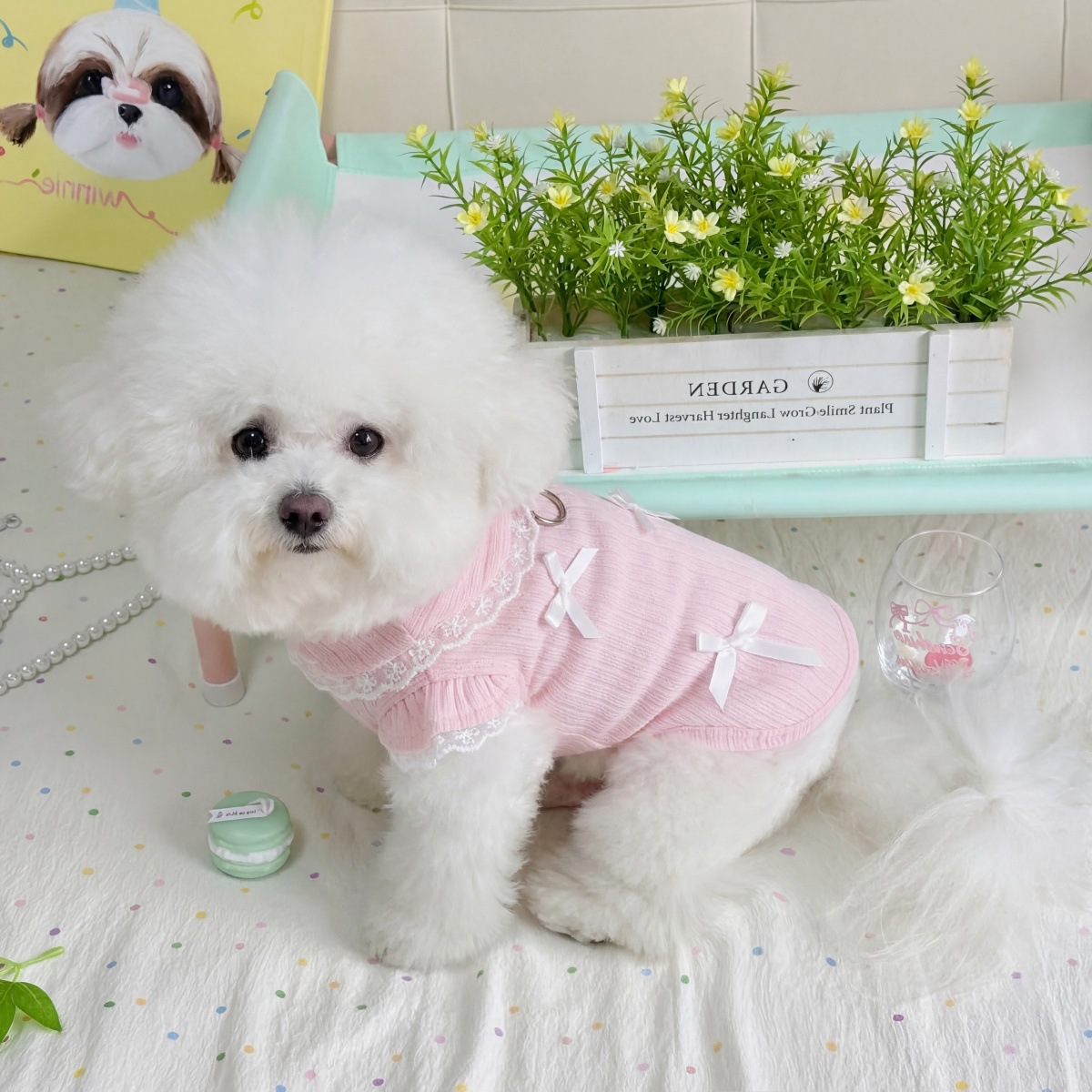 Pet Spring Lace Bow Vest Can P - Lace Teddy Lingerie avaliação e preço