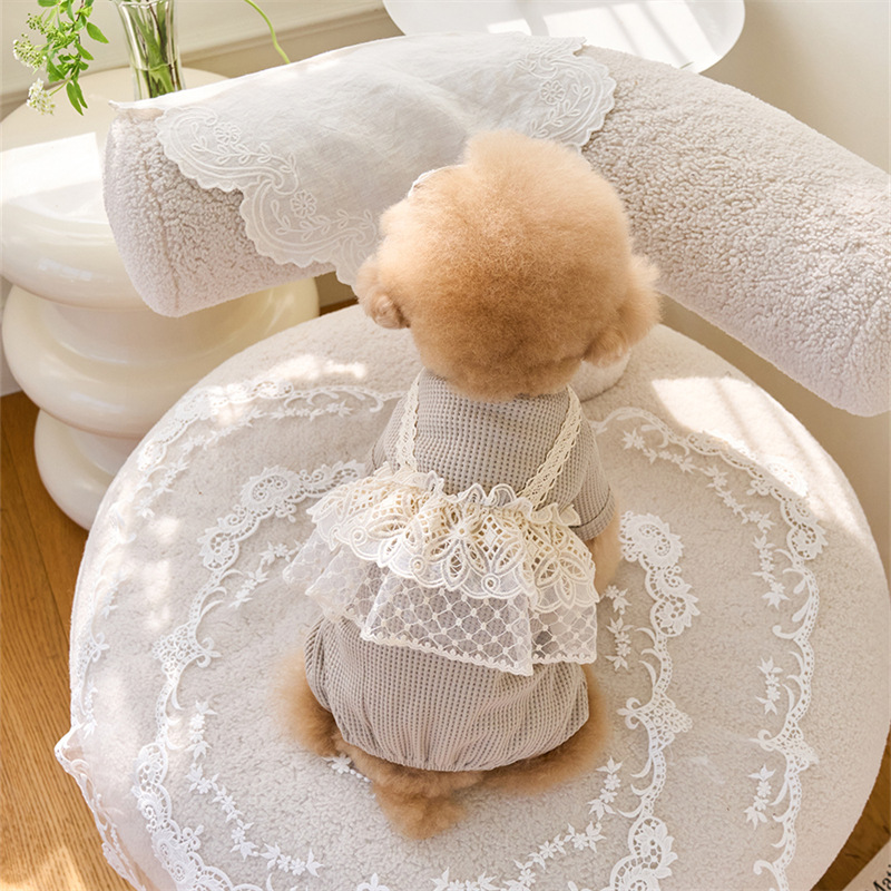 Pet Spring Jumpsuit Cute Lace  - Lace Teddy Lingerie avaliação e preço