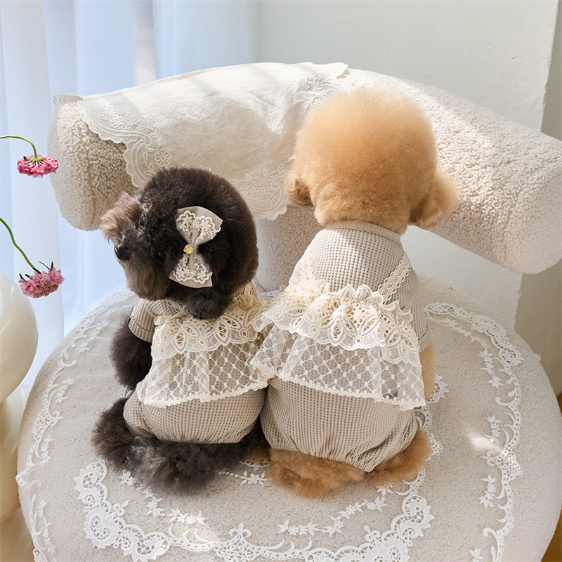 Pet Spring Jumpsuit Cute Lace  - Lace Teddy Lingerie avaliação e preço