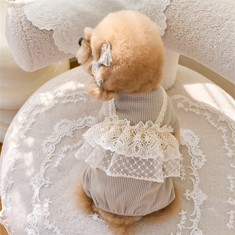 Pet Spring Jumpsuit Cute Lace  - Lace Teddy Lingerie avaliação e preço